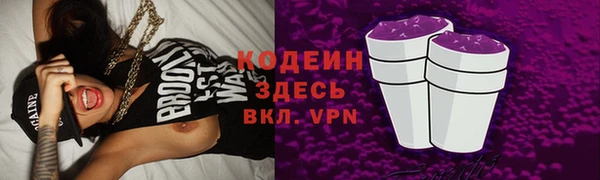 гидра Богородск