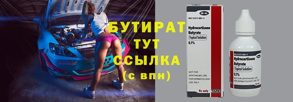 гидра Богородск