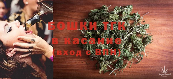 гидра Богородск