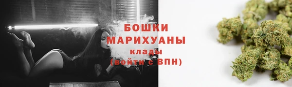гидра Богородск