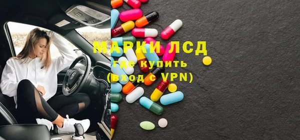 гидра Богородск