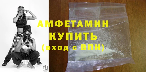 гидра Богородск