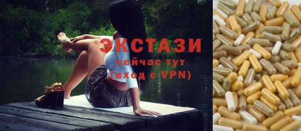 гидра Богородск