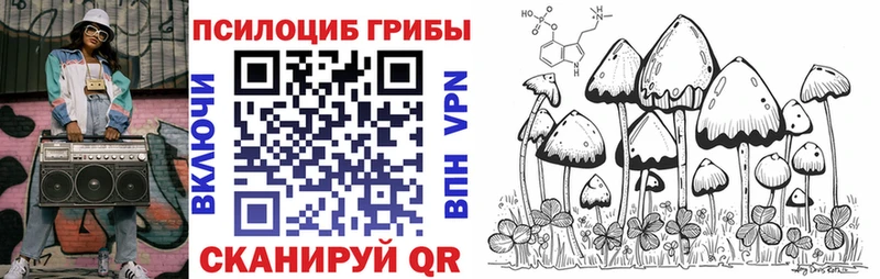 hydra ONION  Вязники  Галлюциногенные грибы мицелий 
